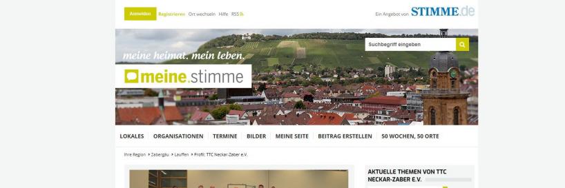 Meine Stimme